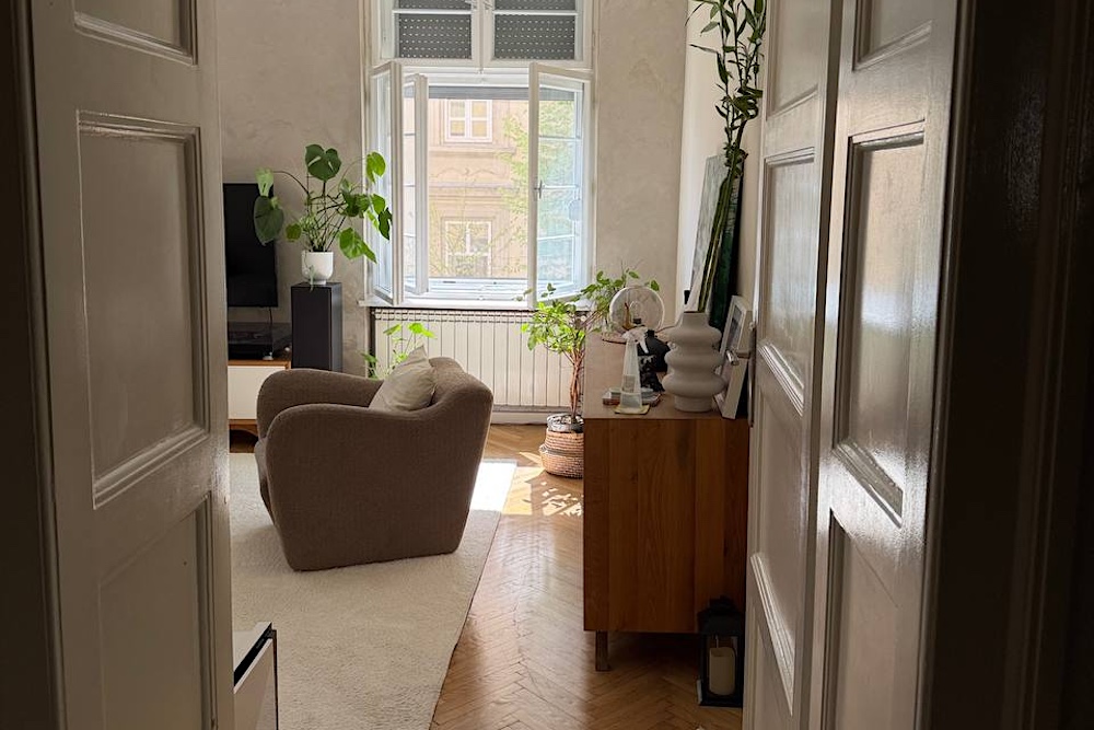 sorel properties strahinjica bana