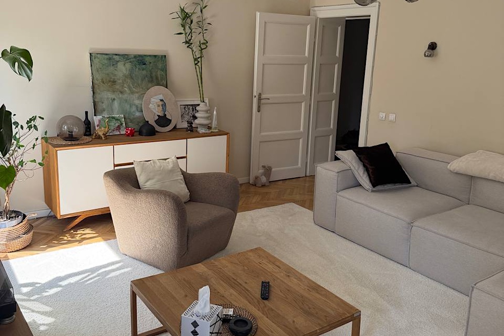 sorel properties strahinjica bana