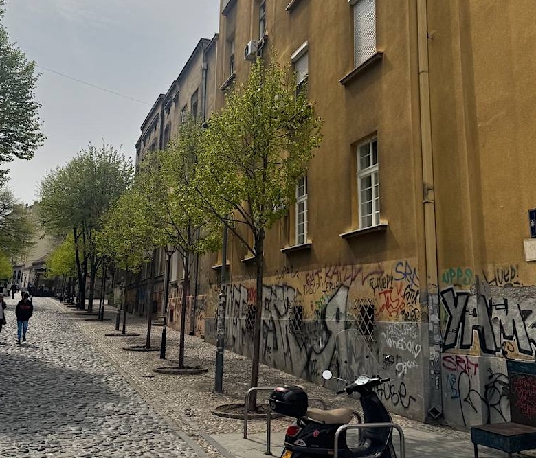 sorel properties strahinjica bana
