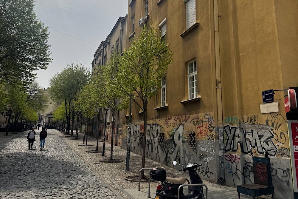 sorel properties strahinjica bana